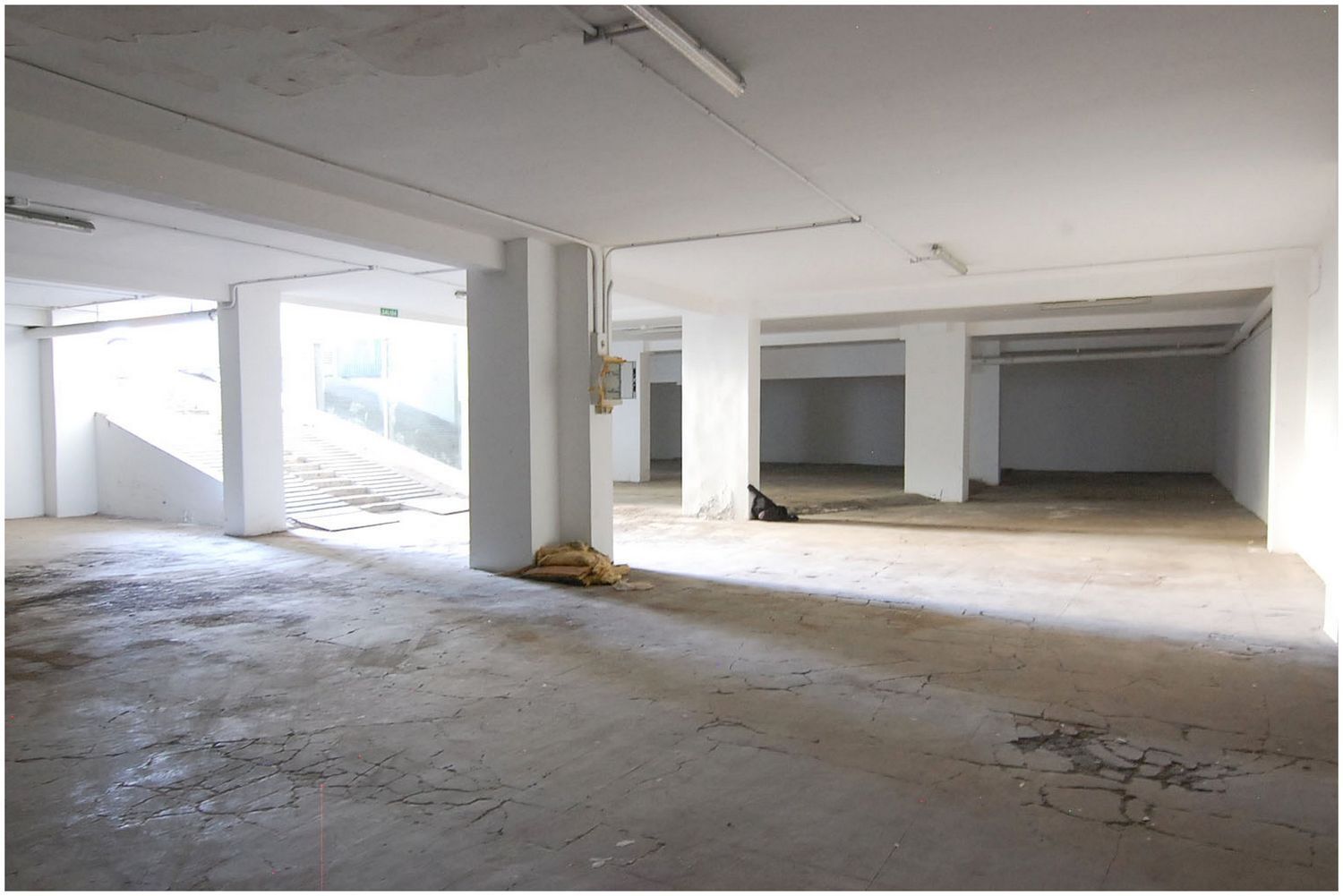 Locales-Venta-Santa Cruz de Tenerife-1834443-Foto-12