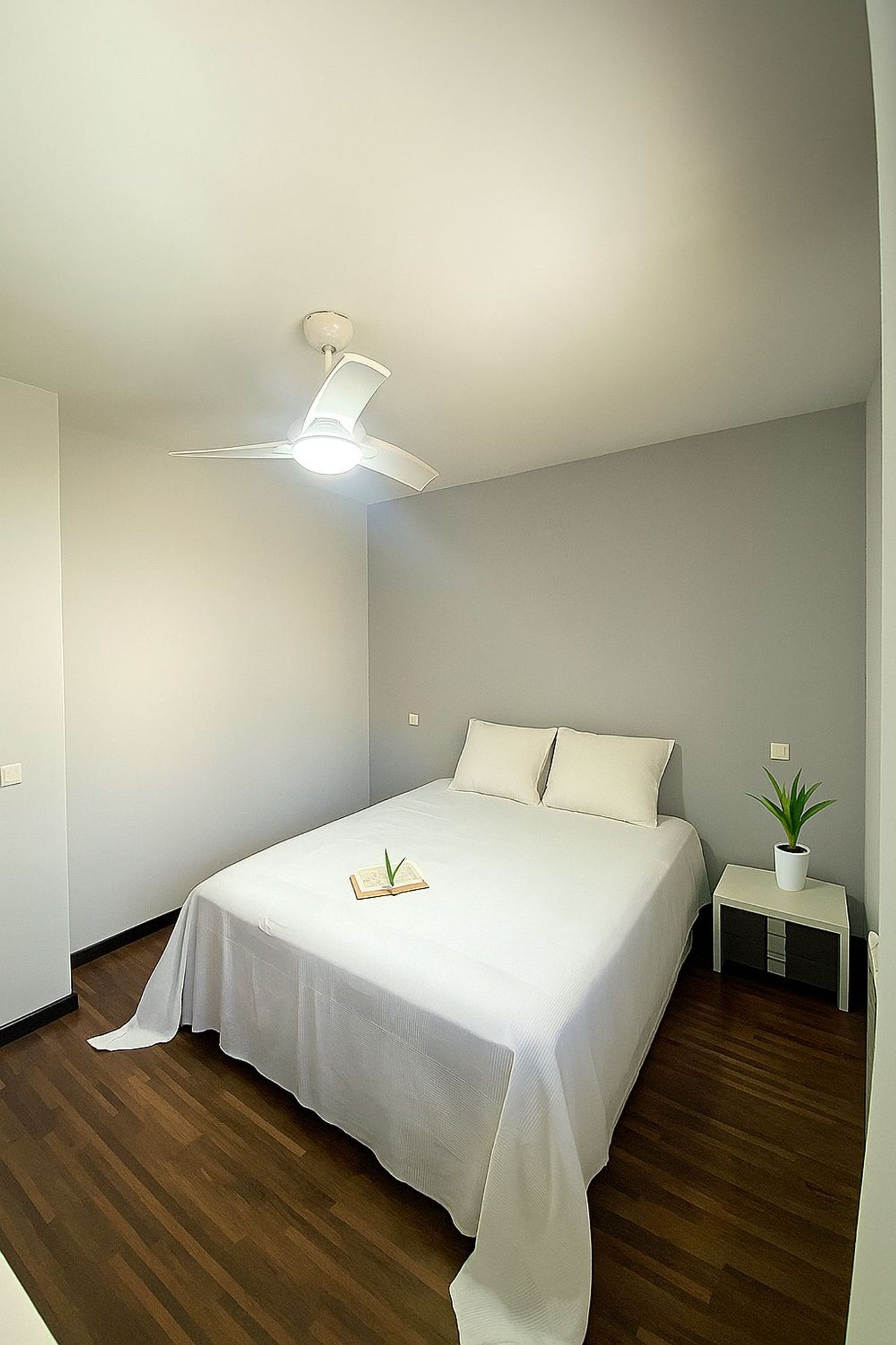 Casas o chalets-Venta-CarabaÃ±a-1834446-Foto-38