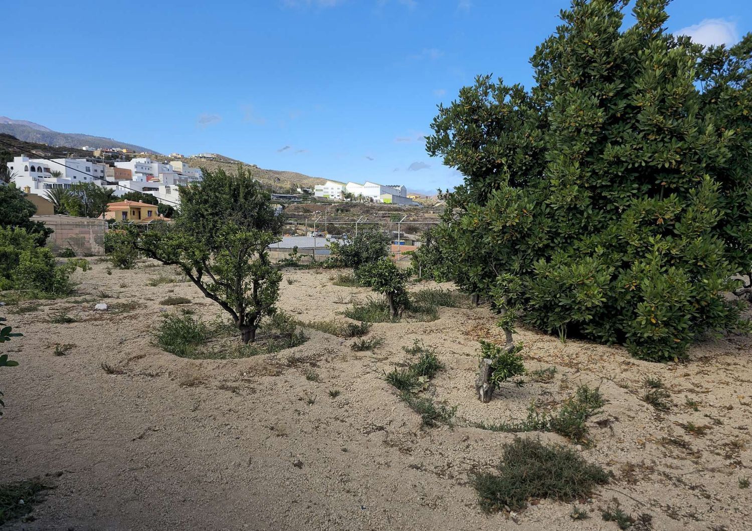 Fincas y solares-Venta-San Miguel de Abona-1834449-Foto-19