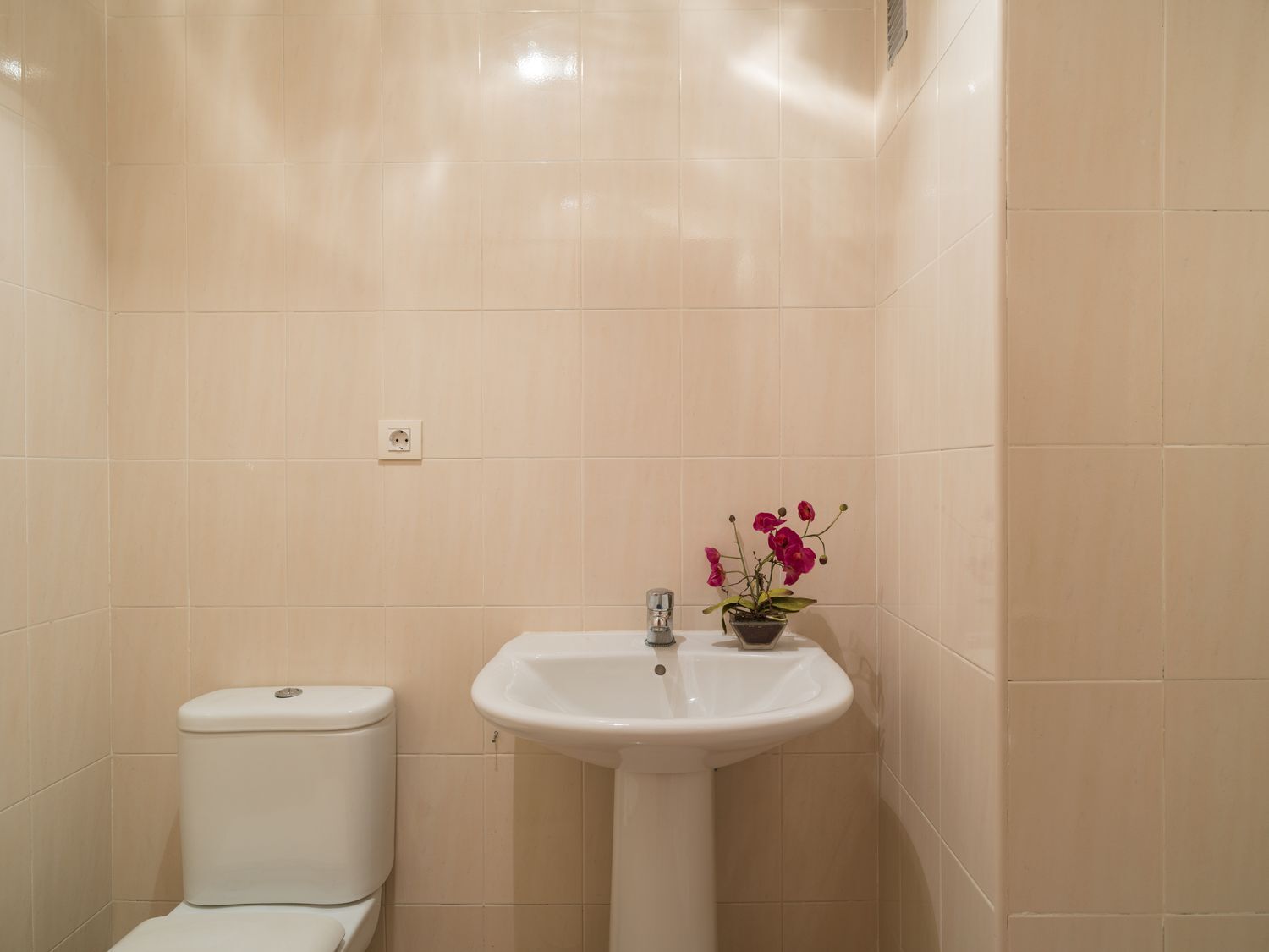 Pisos-Venta-Arucas-1834470-Foto-17