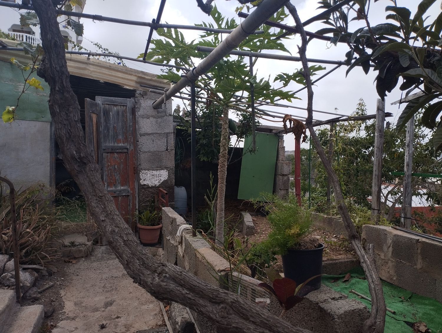 Pisos-Venta-Arucas-1834476-Foto-12