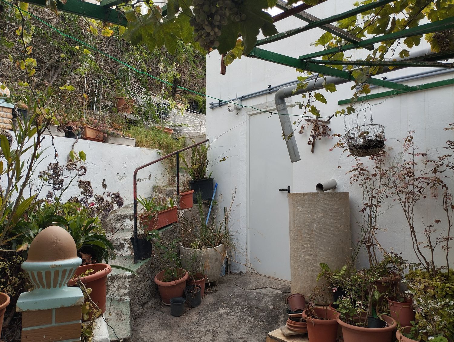 Pisos-Venta-Arucas-1834476-Foto-13