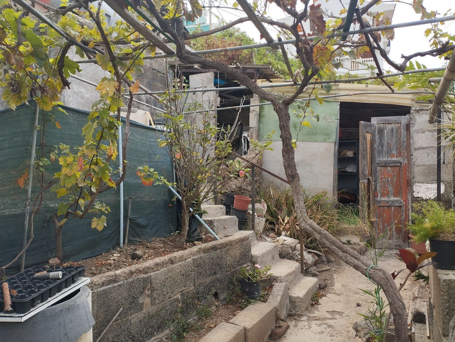 Pisos-Venta-Arucas-1834476-Foto-15
