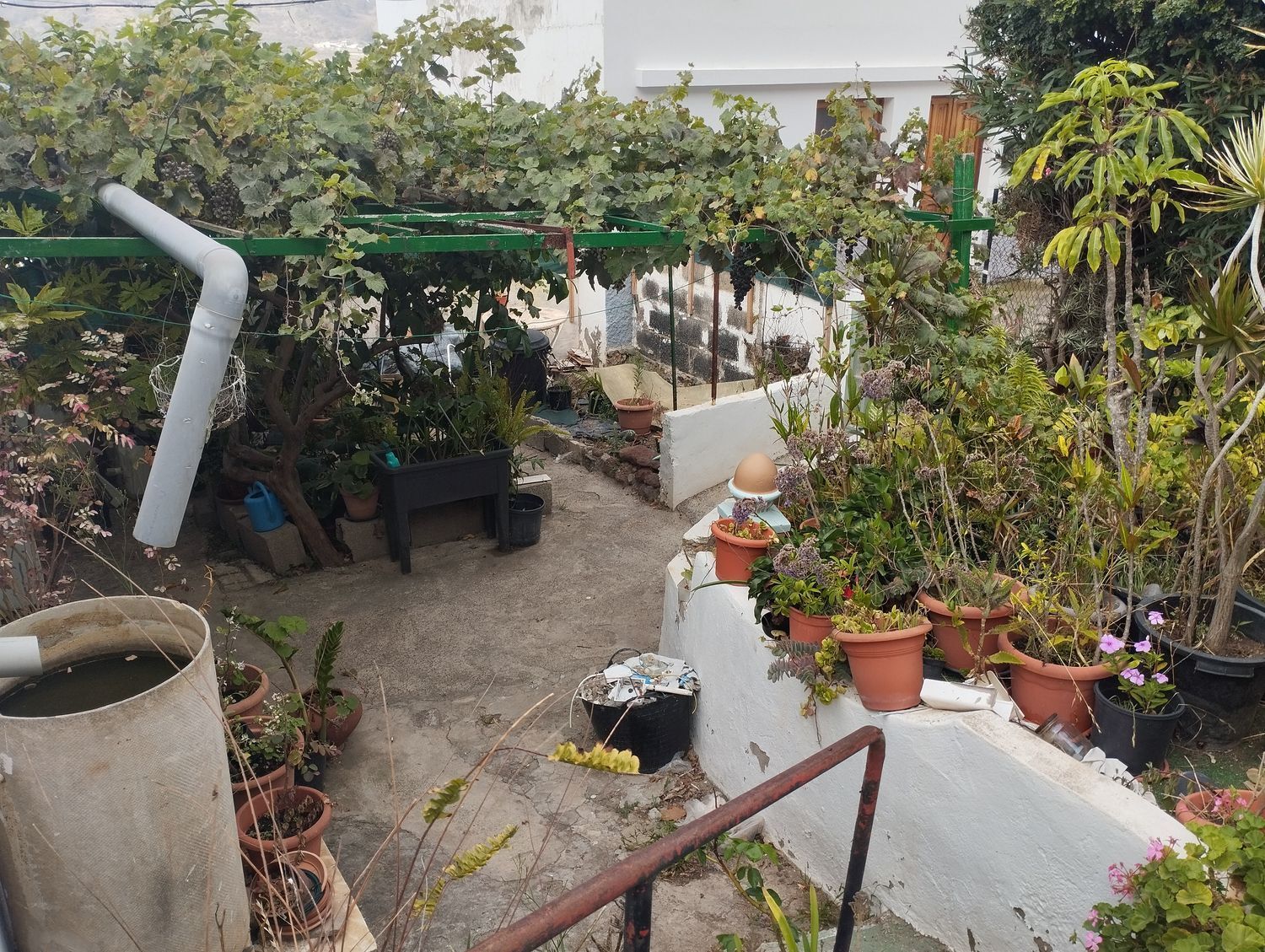 Pisos-Venta-Arucas-1834476-Foto-24