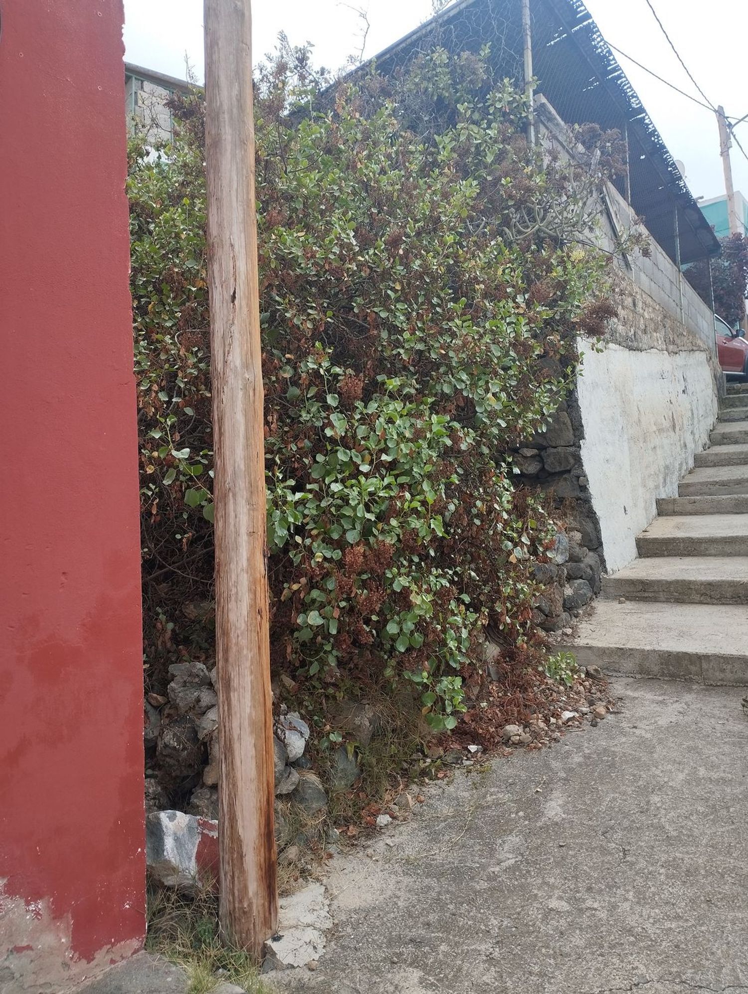 Pisos-Venta-Arucas-1834476-Foto-25