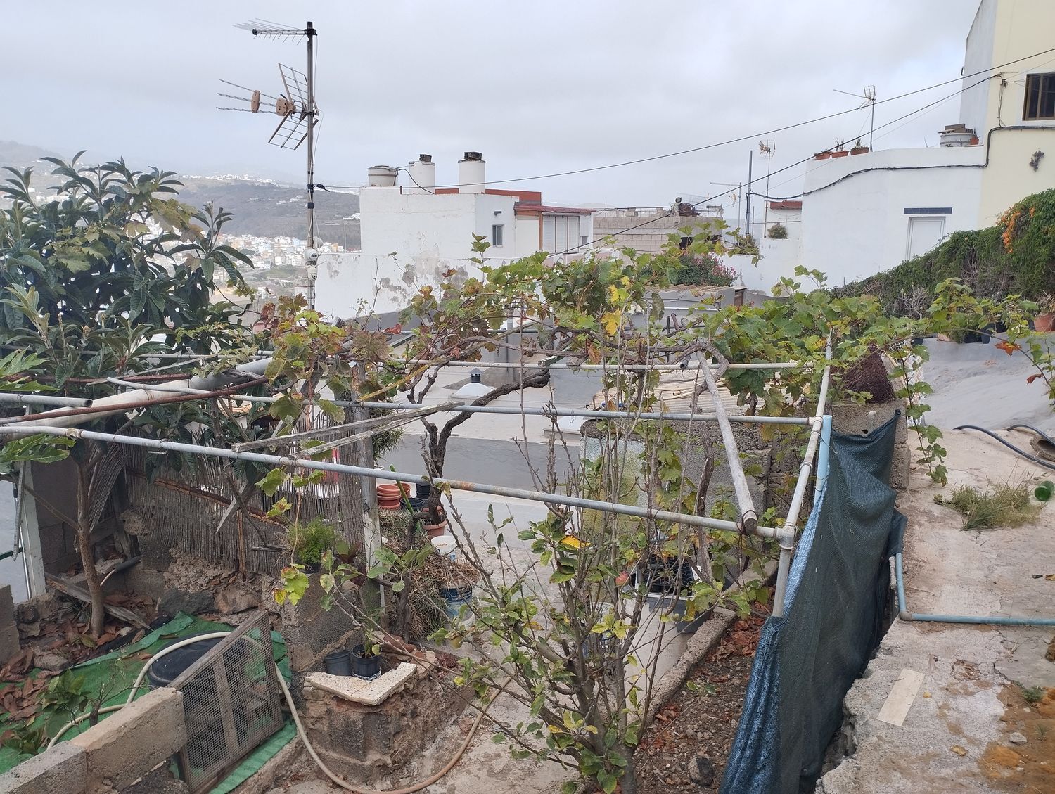 Pisos-Venta-Arucas-1834476-Foto-22