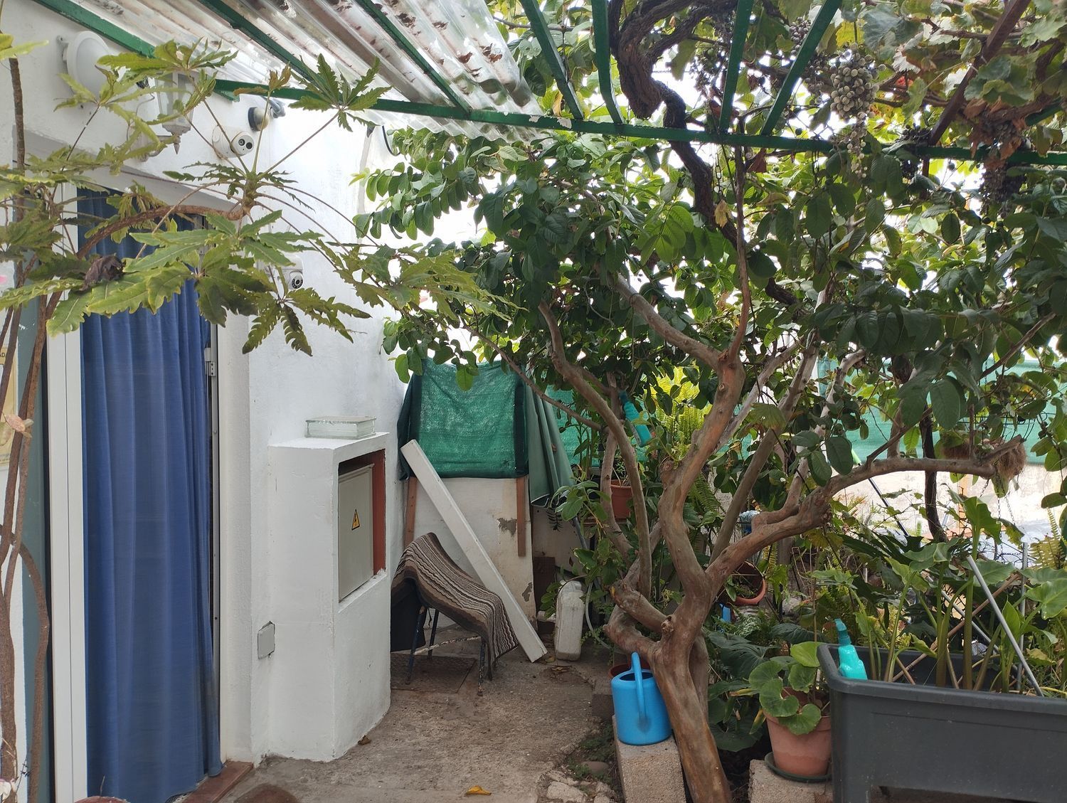 Pisos-Venta-Arucas-1834476-Foto-26