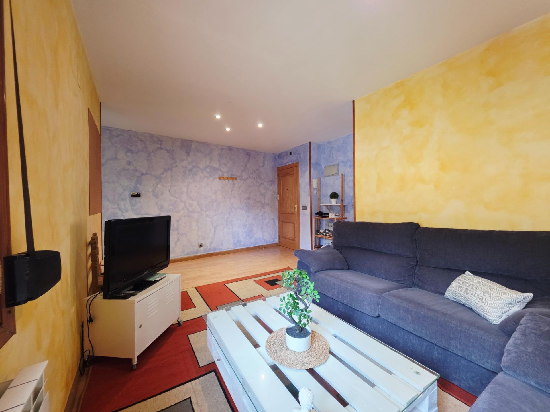 Pisos-Venta-SabiÃ±Ã¡nigo-1834506-Foto-4