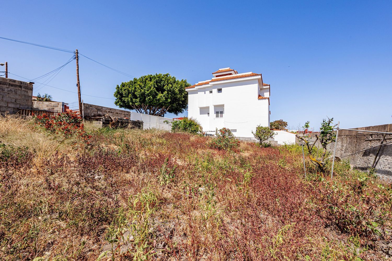 Casas o chalets-Venta-Las Palmas de Gran Canaria-1745620-Foto-53