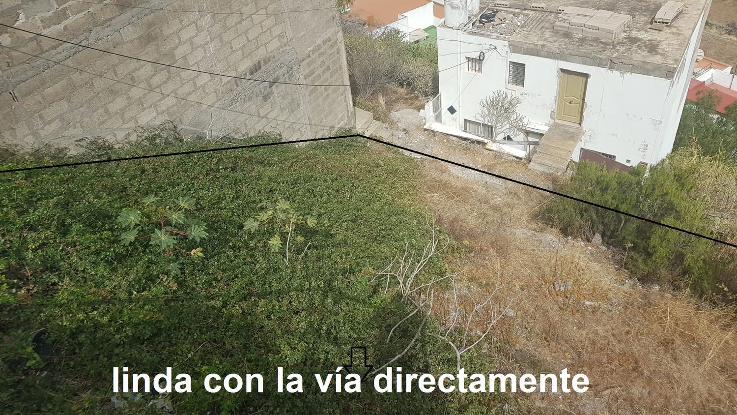 Fincas y solares-Venta-Las Palmas de Gran Canaria-911185-Foto-3