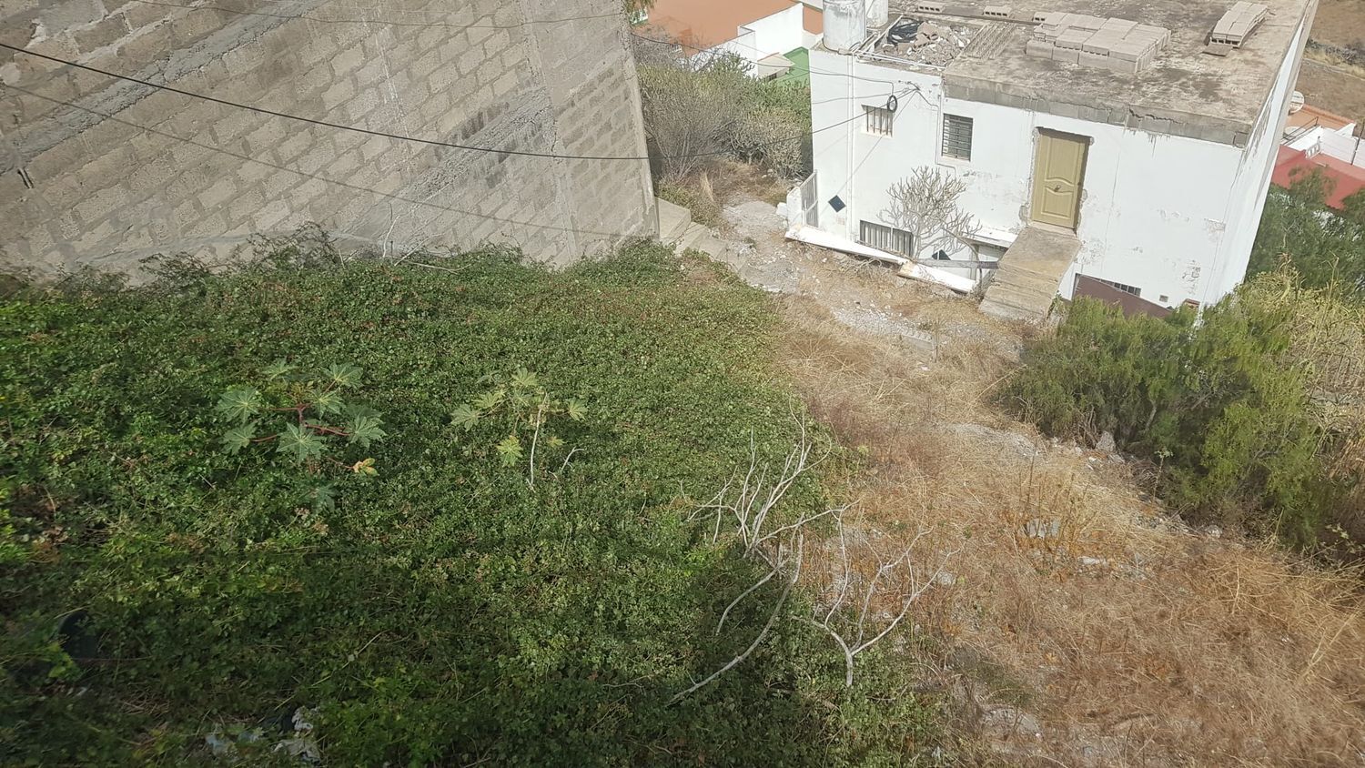 Fincas y solares-Venta-Las Palmas de Gran Canaria-911185-Foto-9