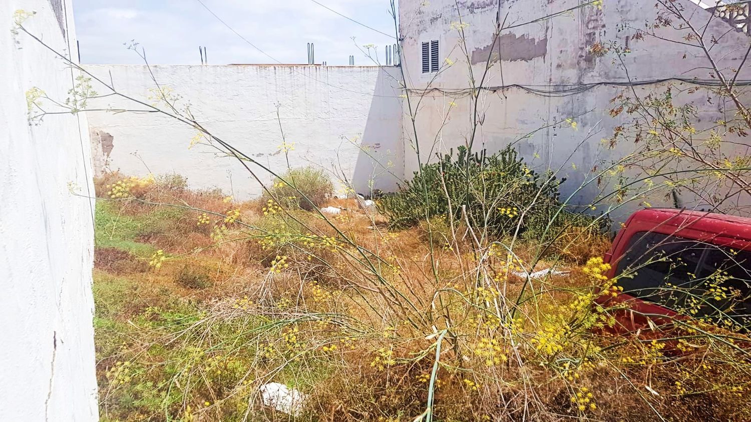 Fincas y solares-Venta-Telde-914990