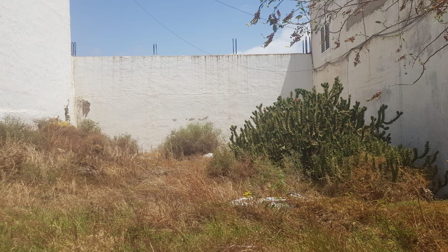 Fincas y solares-Venta-Telde-914990-Foto-4