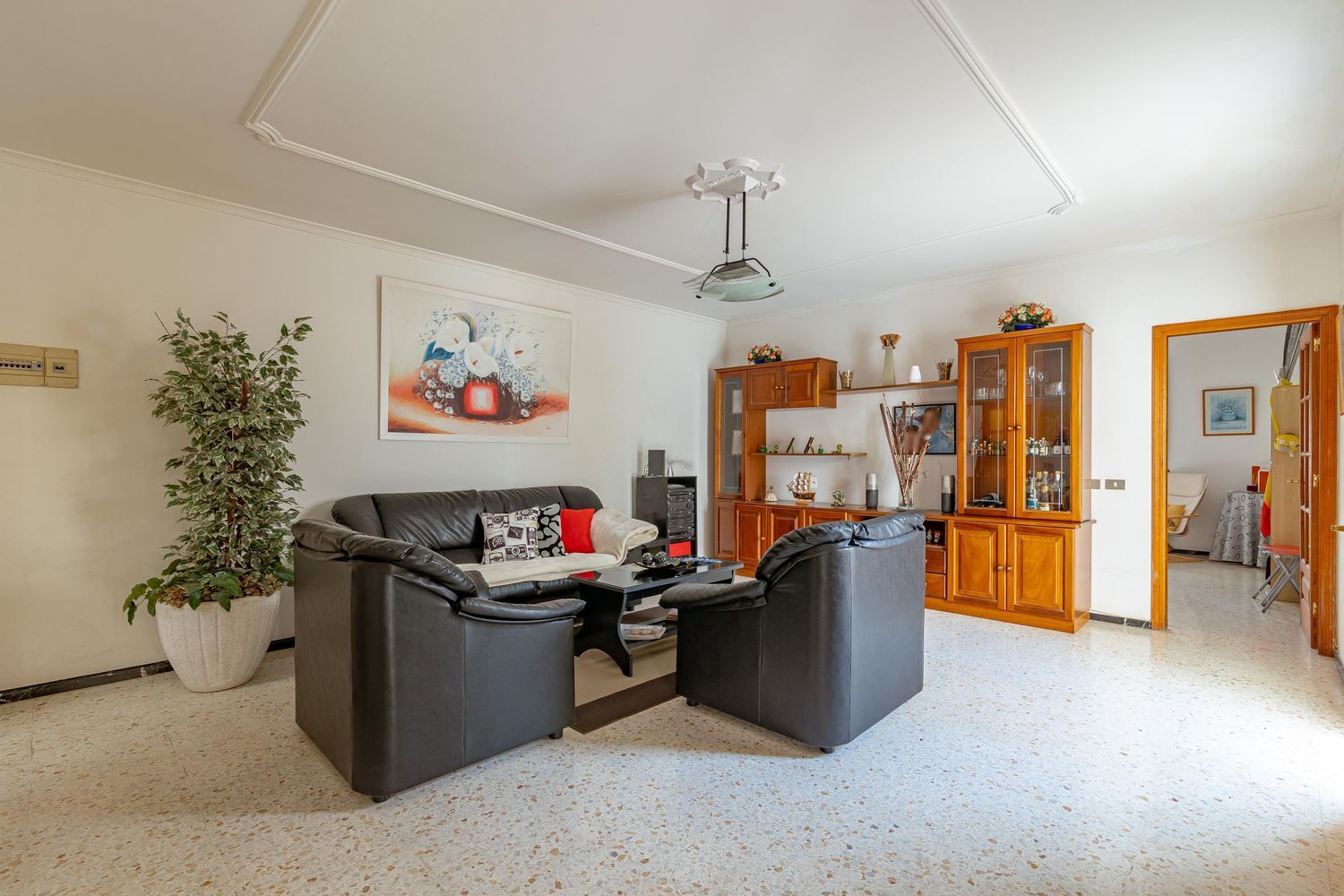 Casas o chalets-Venta-Ingenio-1021638-Foto-40