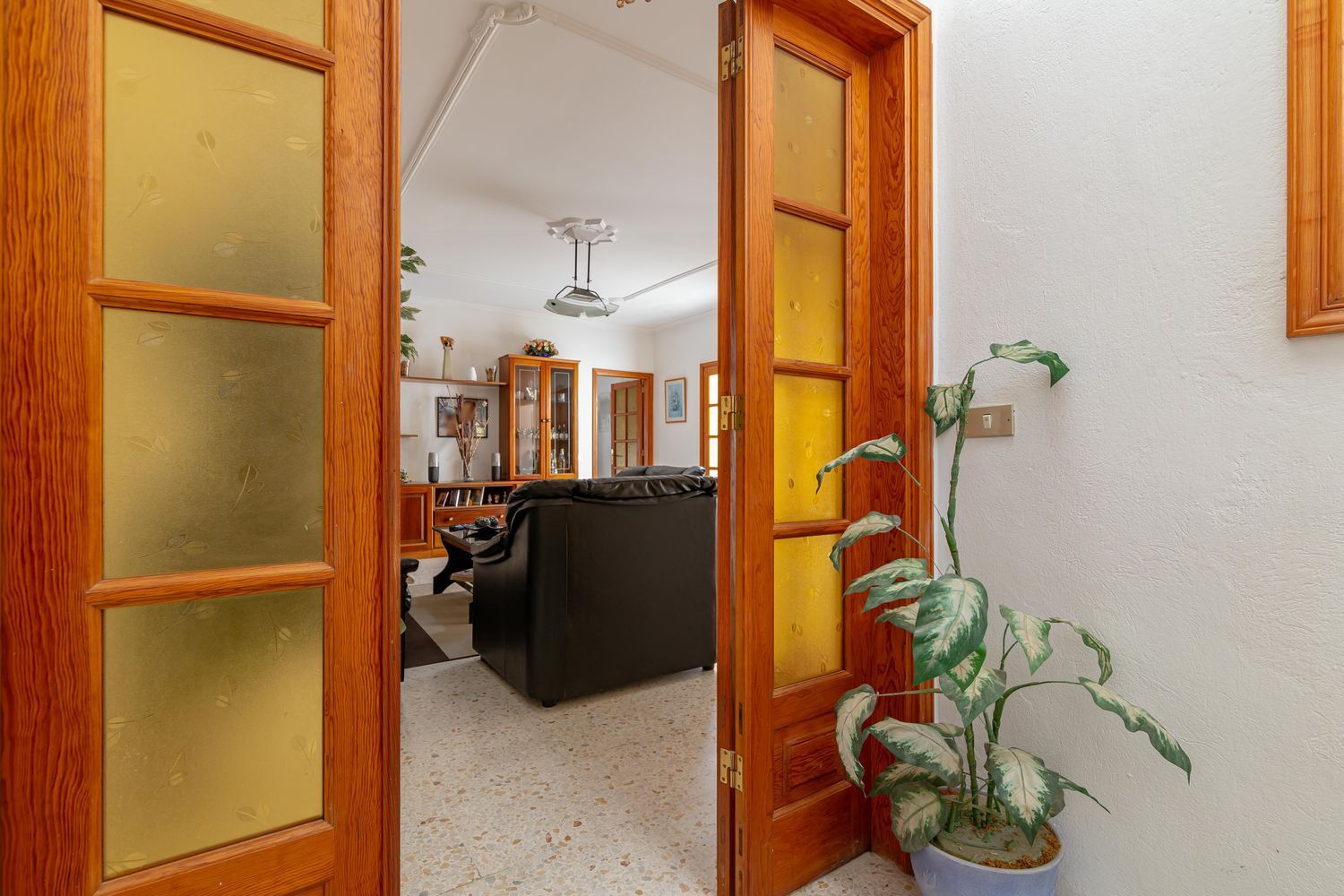 Casas o chalets-Venta-Ingenio-1021638-Foto-41