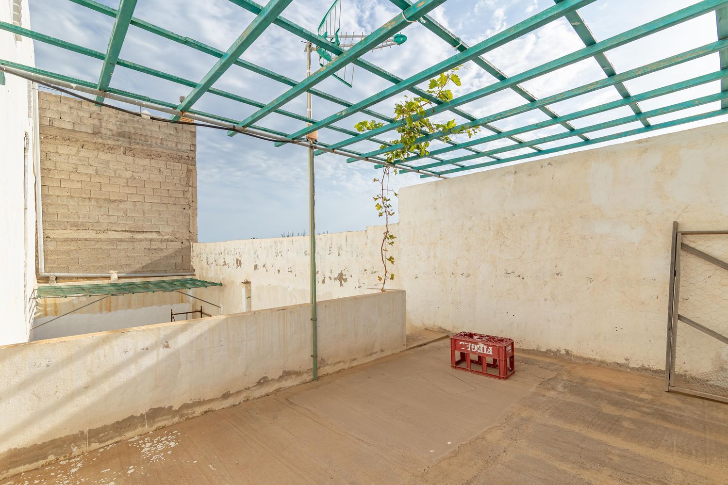 Casas o chalets-Venta-Ingenio-1021638-Foto-54