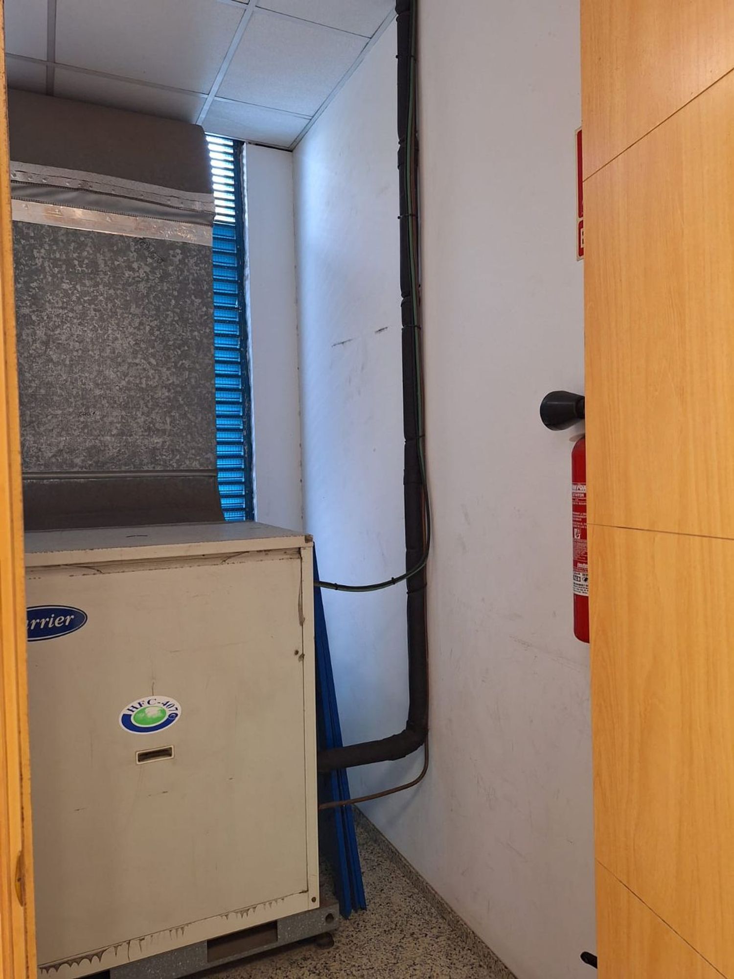 Negocios-Alquiler-Las Palmas de Gran Canaria-1726425-Foto-10