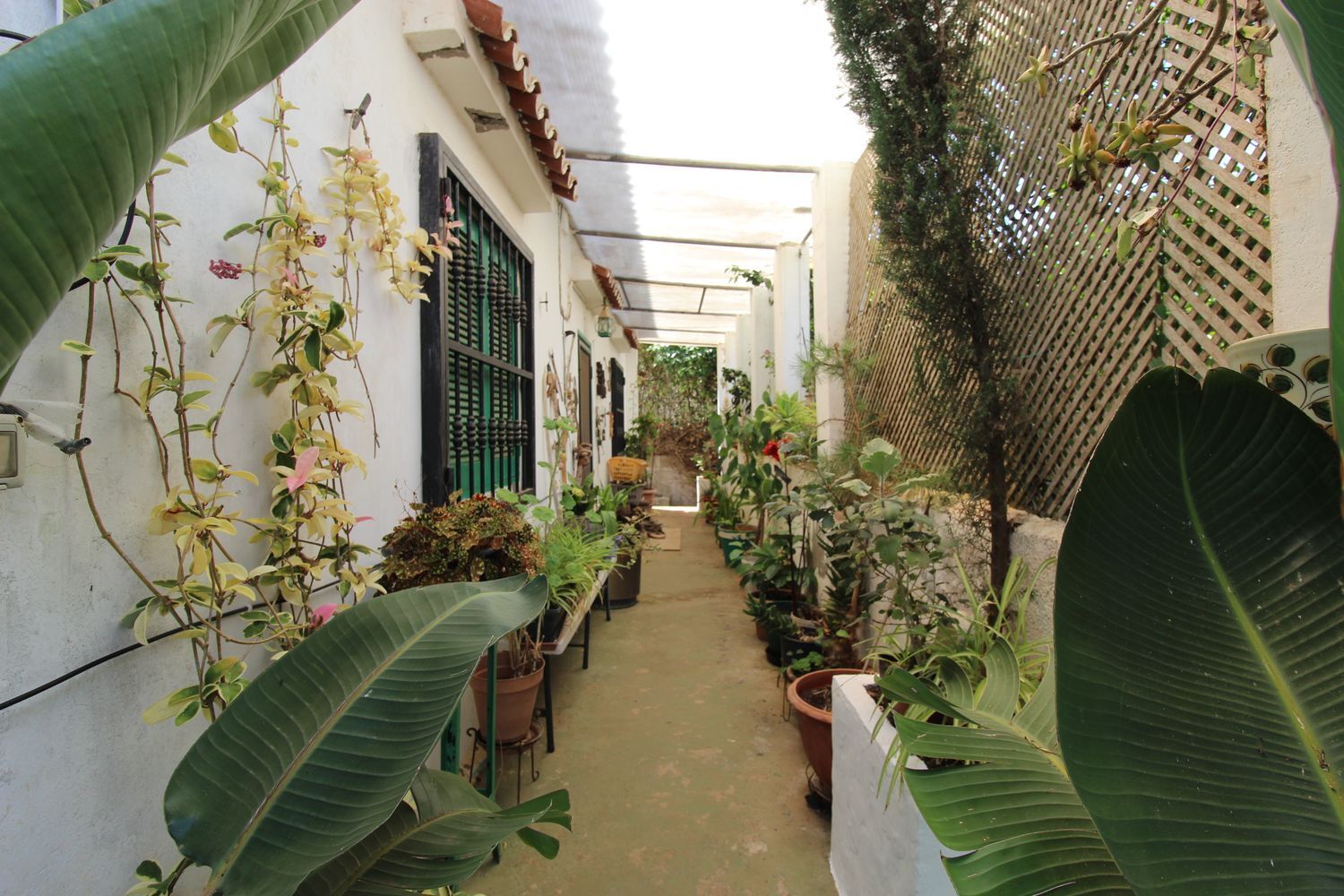 Casas o chalets-Venta-Santa MarÃ­a de GuÃ­a de Gran Canaria-1834777-Foto-17