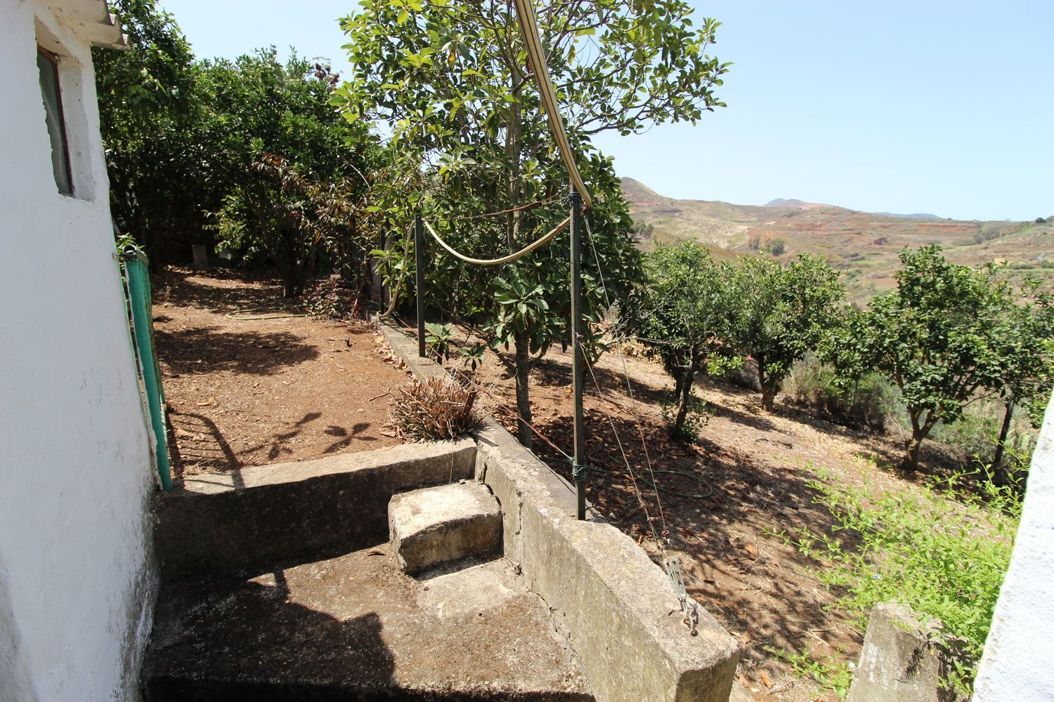 Casas o chalets-Venta-Santa MarÃ­a de GuÃ­a de Gran Canaria-1834777-Foto-26