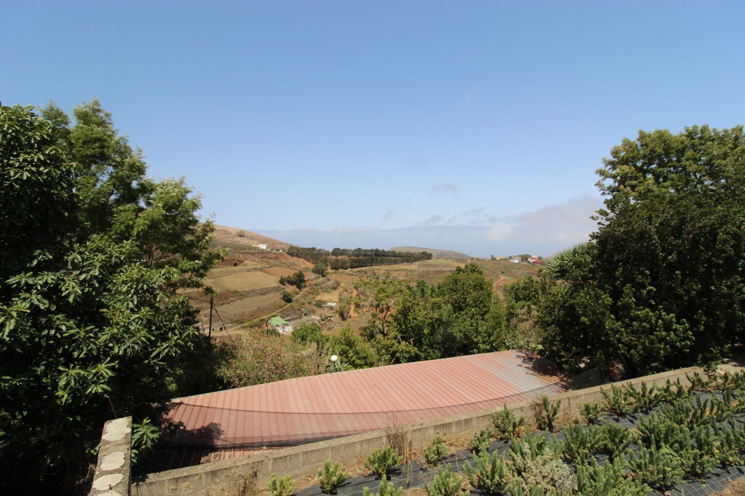 Casas o chalets-Venta-Santa MarÃ­a de GuÃ­a de Gran Canaria-1834777-Foto-31