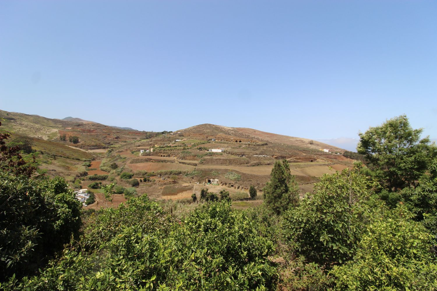 Casas o chalets-Venta-Santa MarÃ­a de GuÃ­a de Gran Canaria-1834777-Foto-37