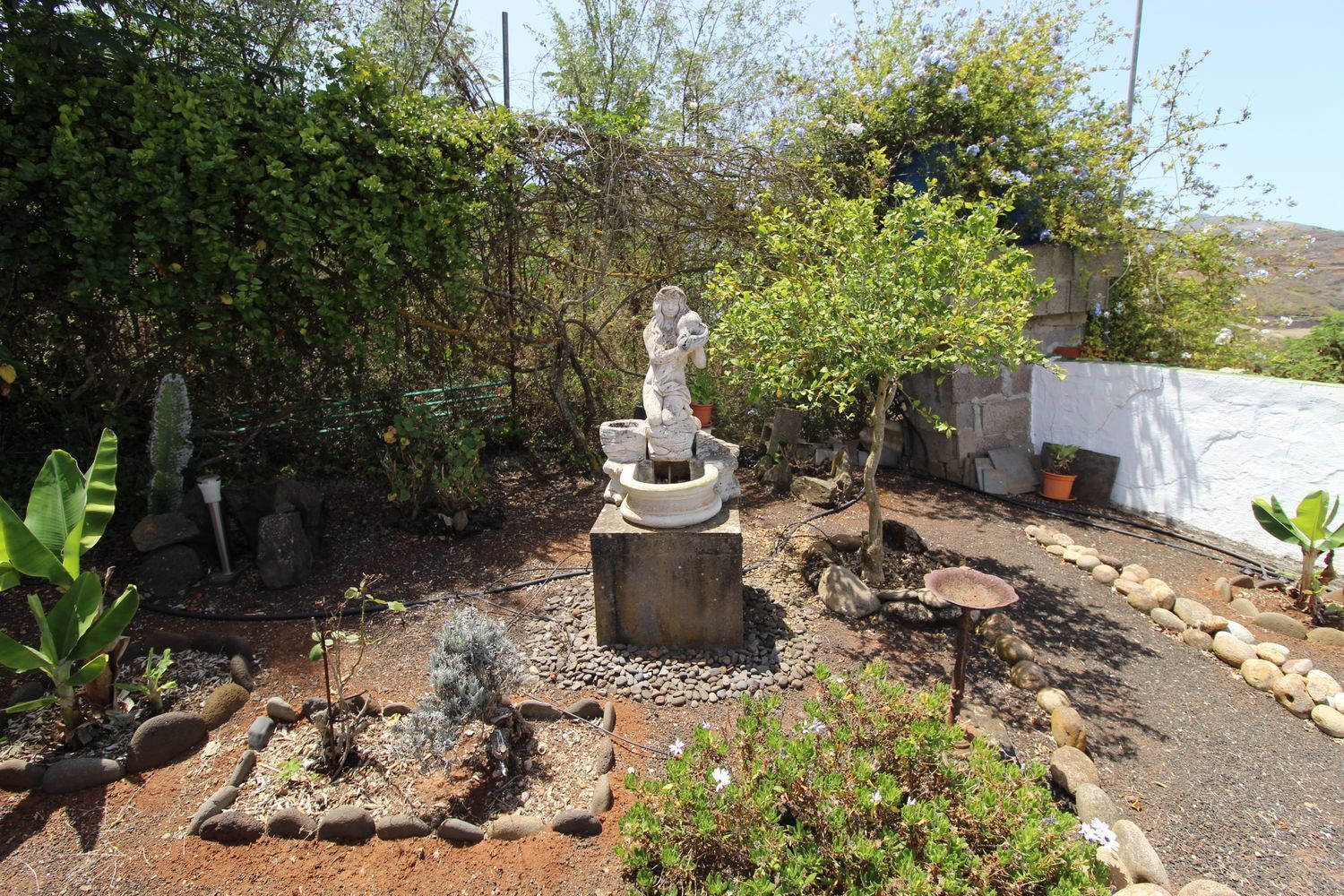 Casas o chalets-Venta-Santa MarÃ­a de GuÃ­a de Gran Canaria-1834777-Foto-41
