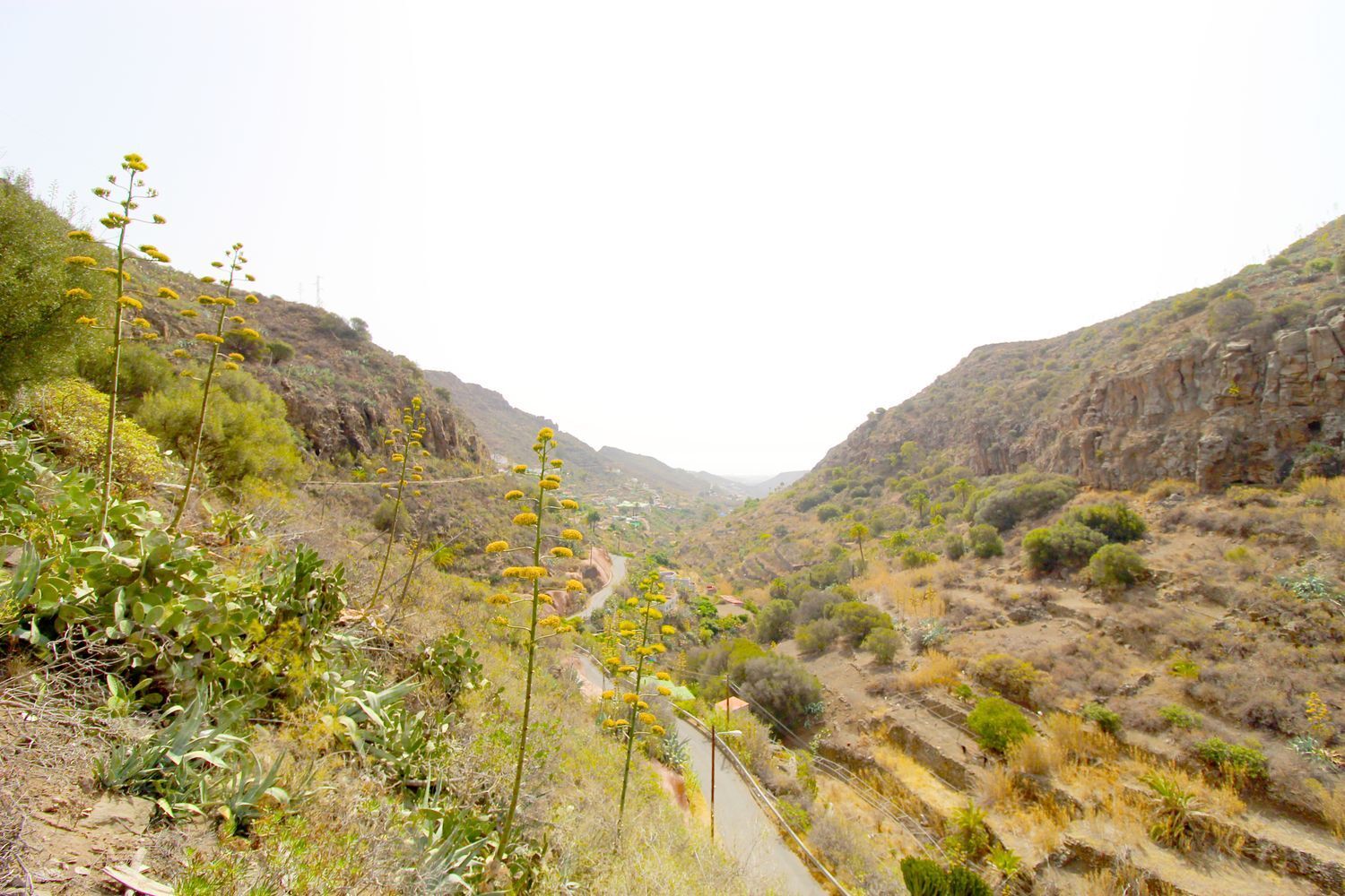 Casas o chalets-Venta-Telde-1834780-Foto-26