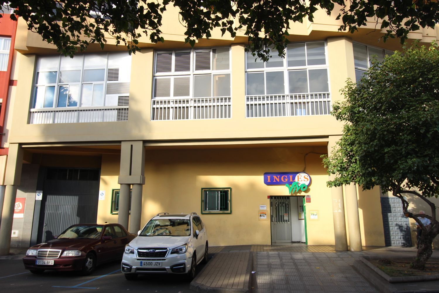 Negocios-Alquiler-Arucas-1437338-Foto-2