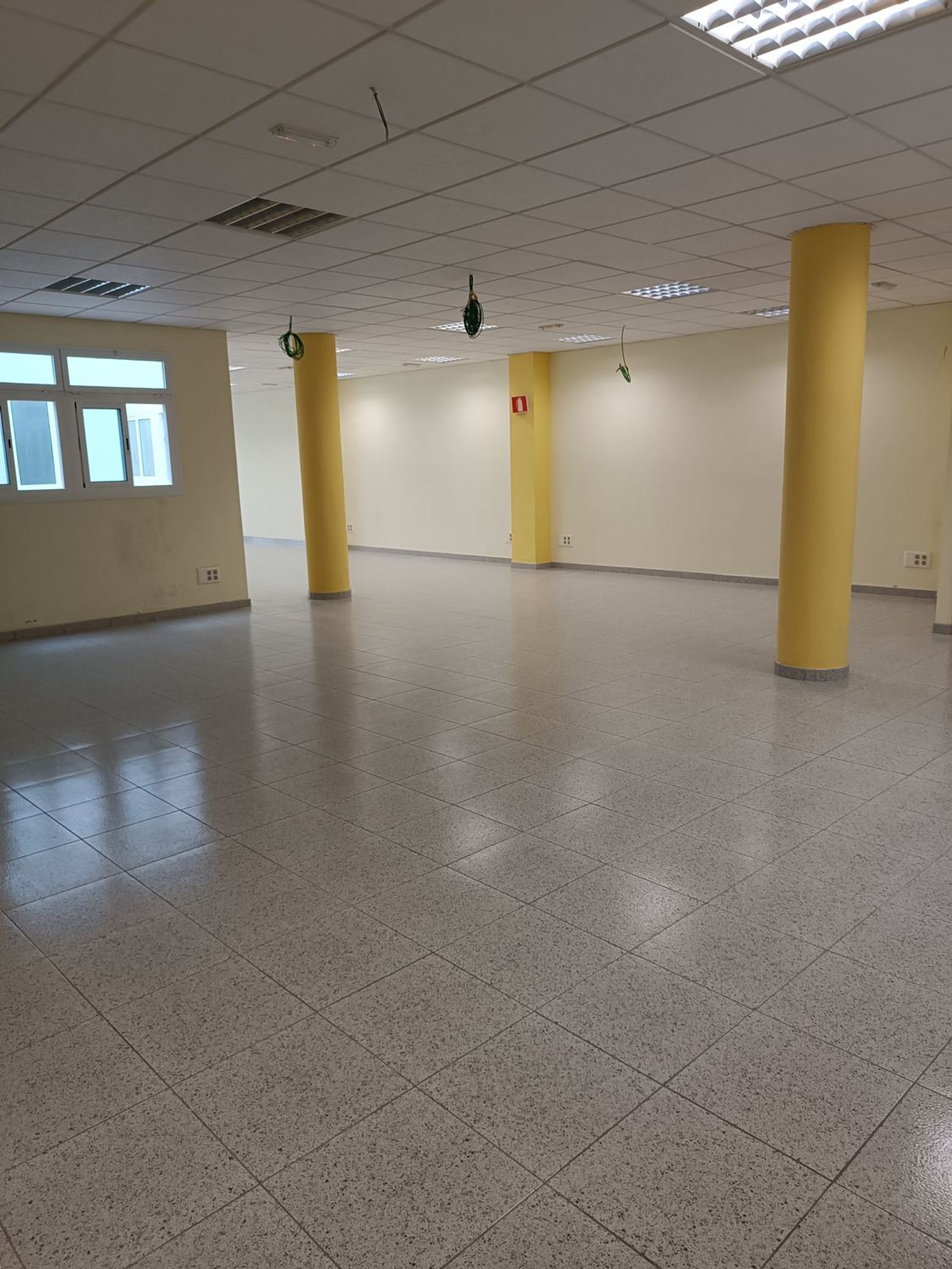 Oficinas-Alquiler-Las Palmas de Gran Canaria-1723321