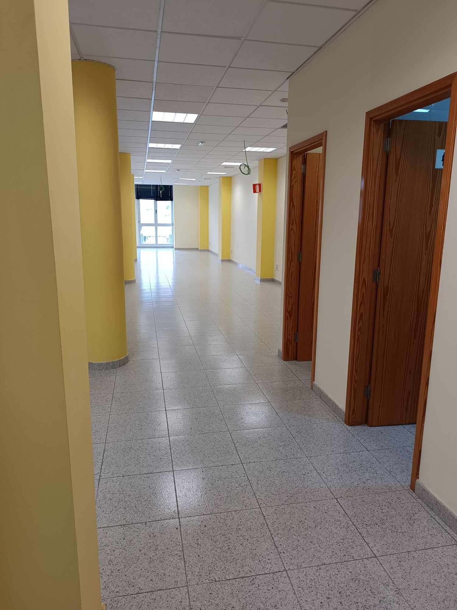 Oficinas-Alquiler-Las Palmas de Gran Canaria-1723321-Foto-5