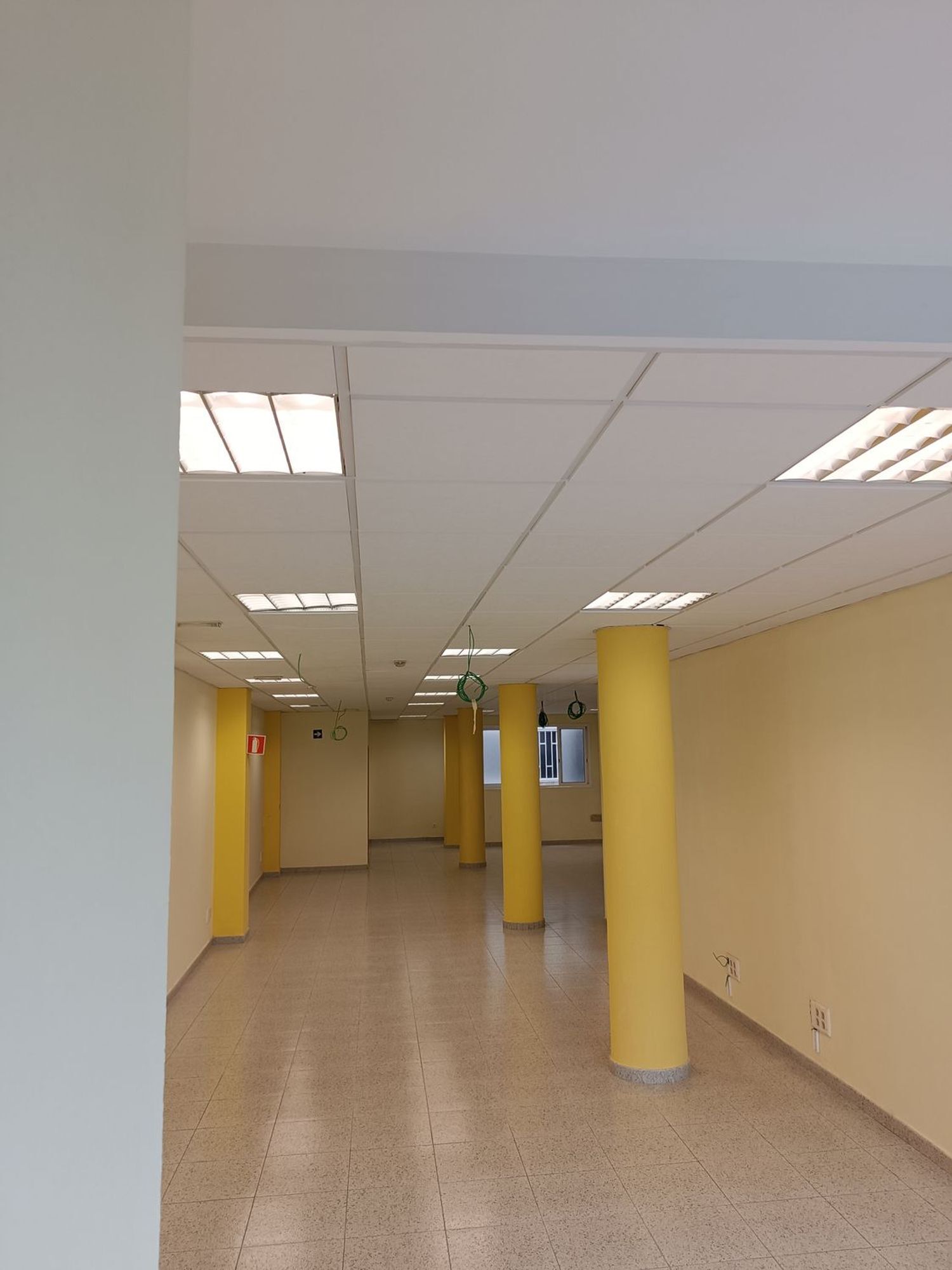 Oficinas-Alquiler-Las Palmas de Gran Canaria-1723321-Foto-11