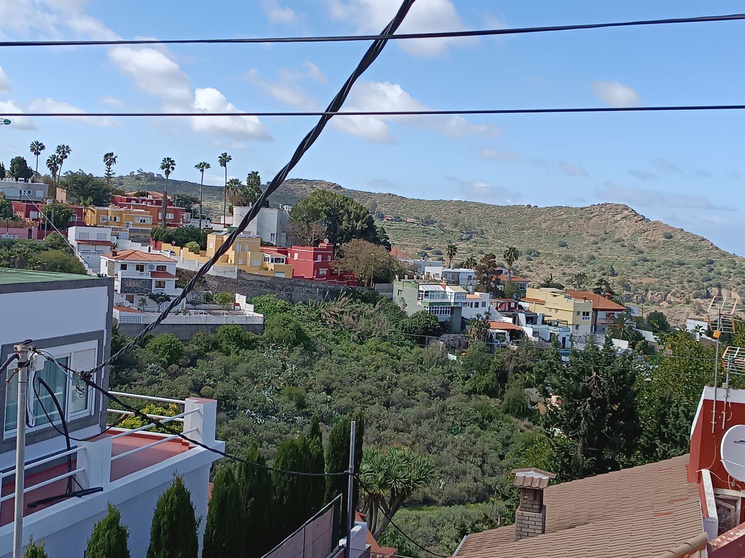 Fincas y solares-Venta-Las Palmas de Gran Canaria-1684346-Foto-5