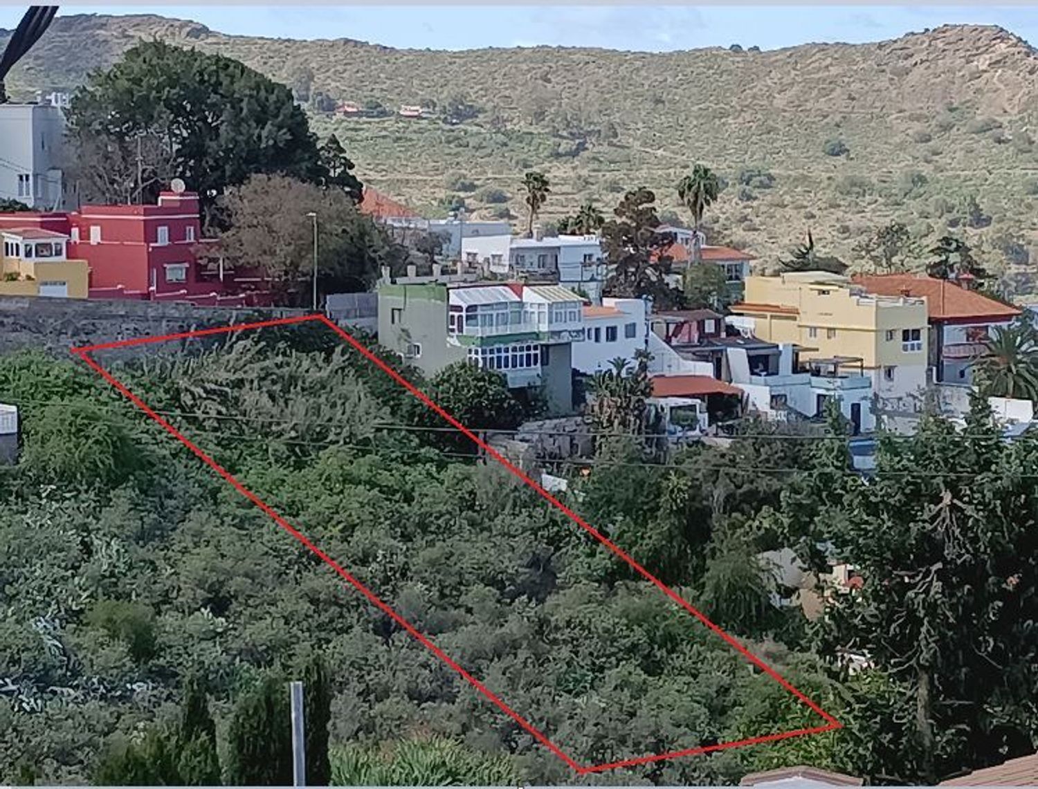 Fincas y solares-Venta-Las Palmas de Gran Canaria-1684346-Foto-2