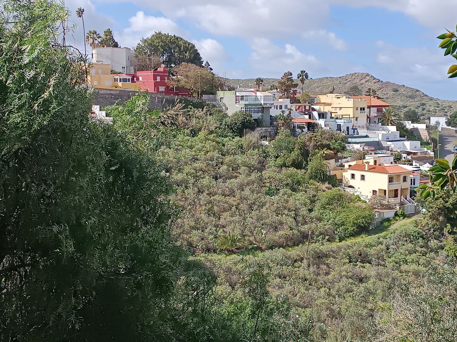 Fincas y solares-Venta-Las Palmas de Gran Canaria-1684346-Foto-3