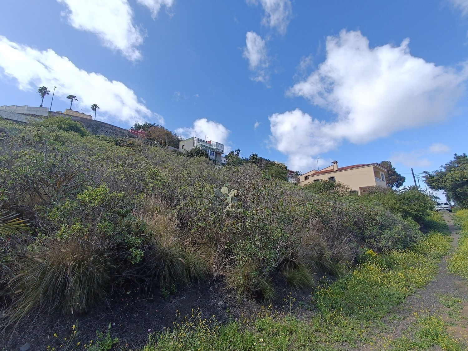 Fincas y solares-Venta-Las Palmas de Gran Canaria-1684346-Foto-6
