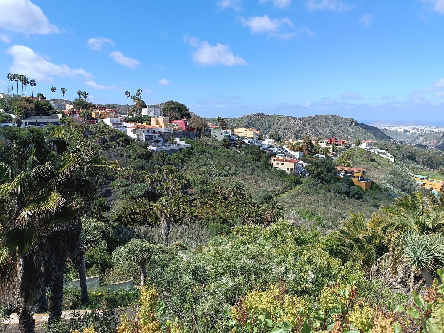 Fincas y solares-Venta-Las Palmas de Gran Canaria-1684346-Foto-8