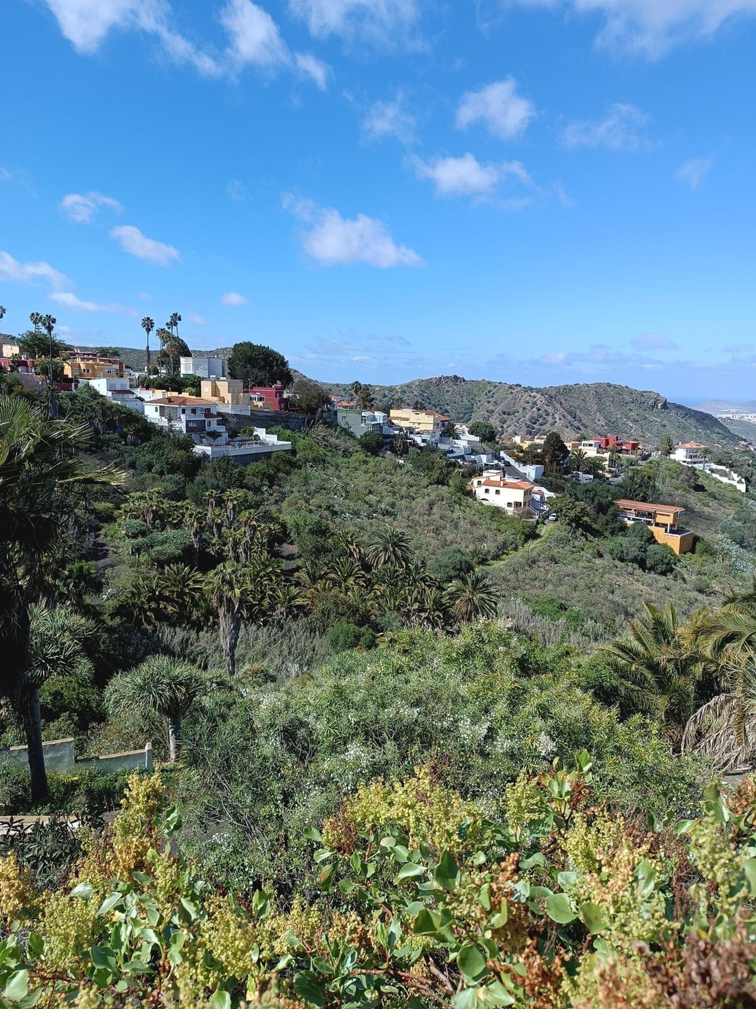 Fincas y solares-Venta-Las Palmas de Gran Canaria-1684346-Foto-7