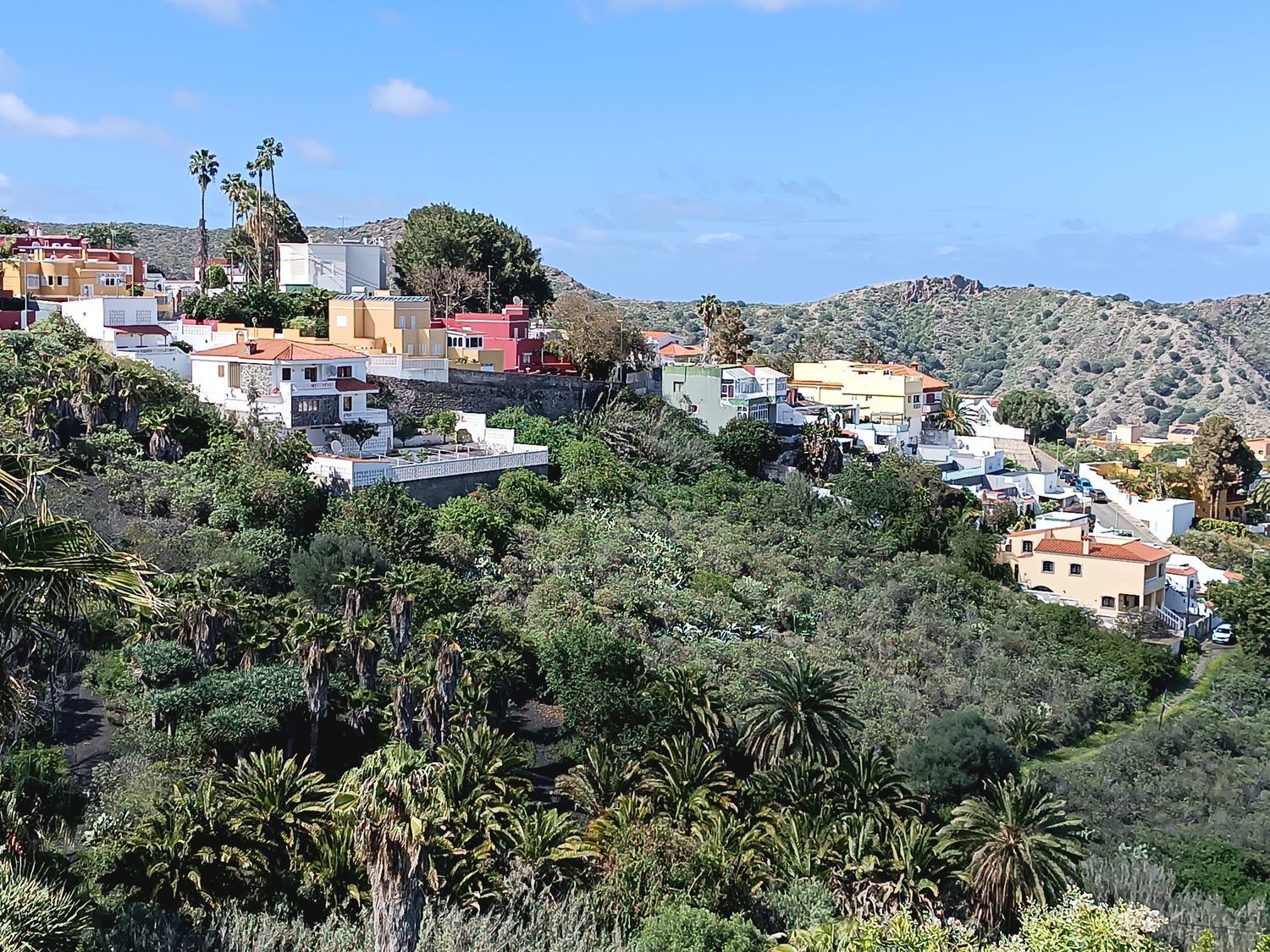 Fincas y solares-Venta-Las Palmas de Gran Canaria-1684346-Foto-9