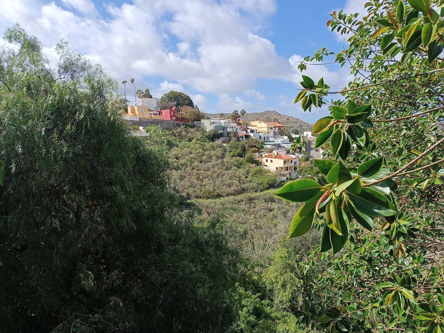 Fincas y solares-Venta-Las Palmas de Gran Canaria-1684346-Foto-15