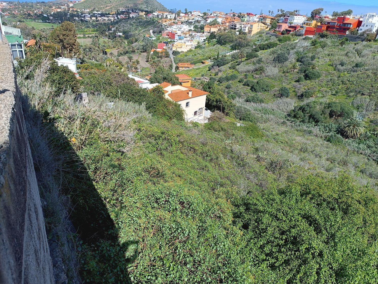 Fincas y solares-Venta-Las Palmas de Gran Canaria-1684346-Foto-11