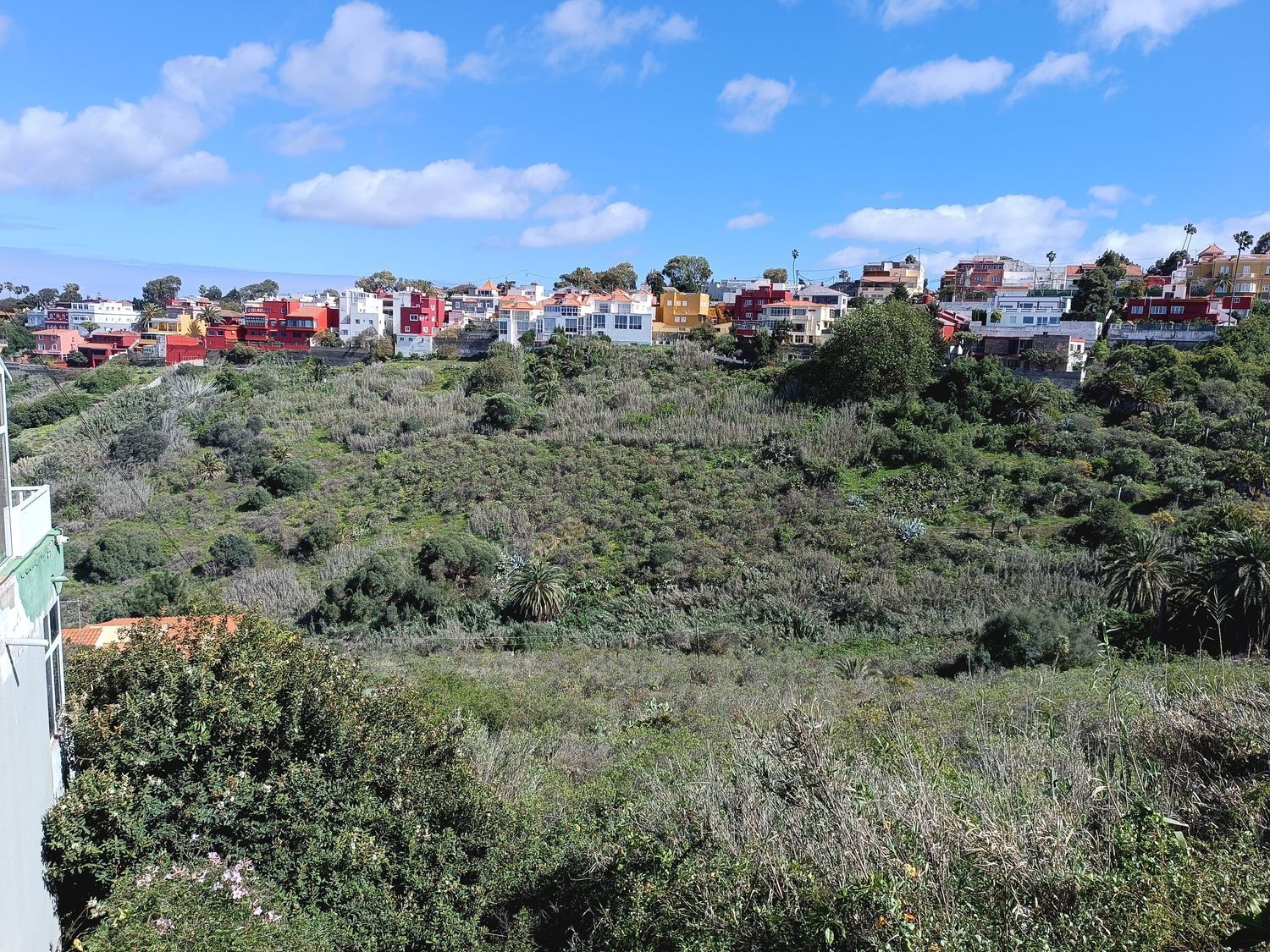 Fincas y solares-Venta-Las Palmas de Gran Canaria-1684346-Foto-12