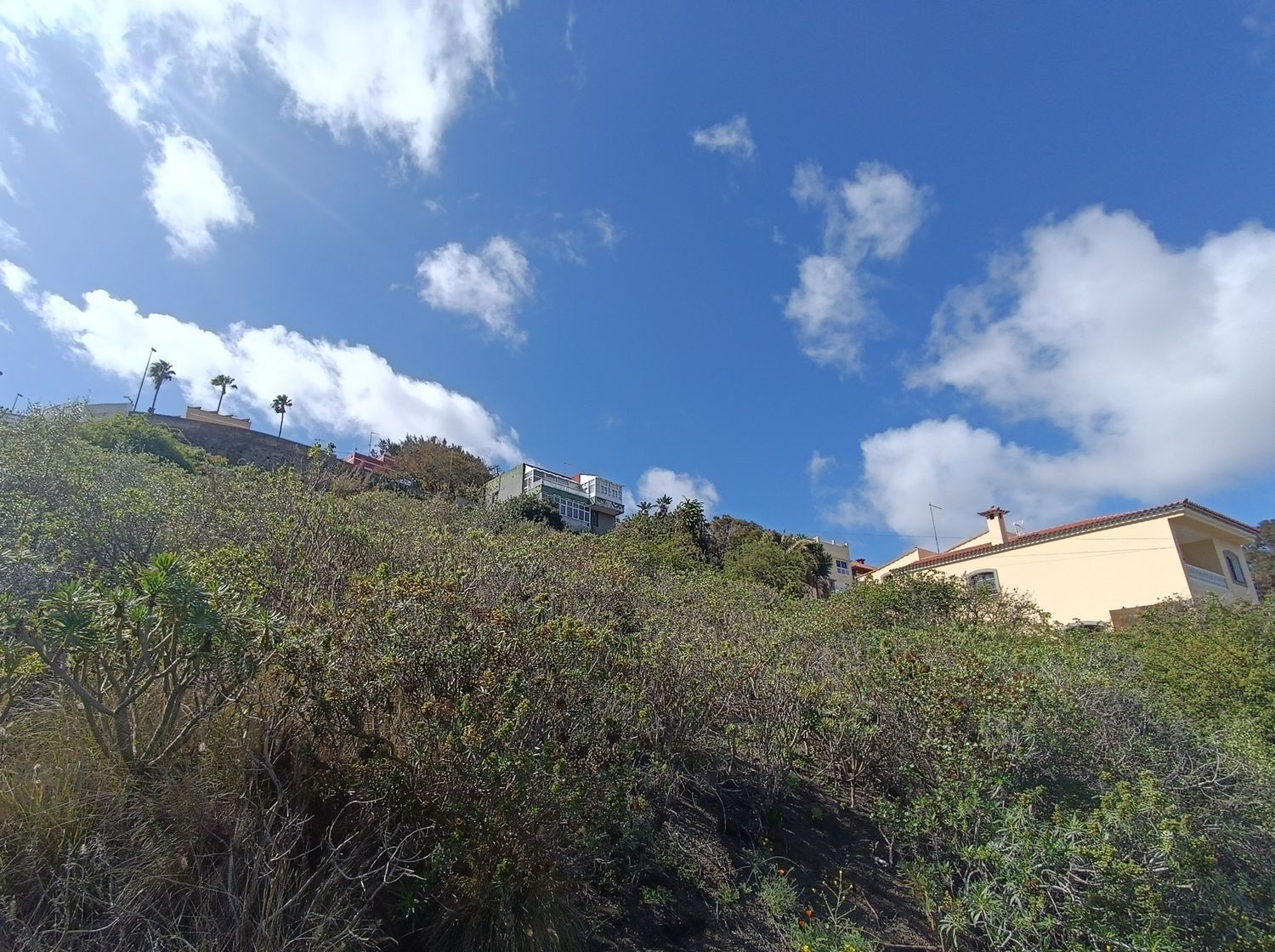 Fincas y solares-Venta-Las Palmas de Gran Canaria-1684346-Foto-17