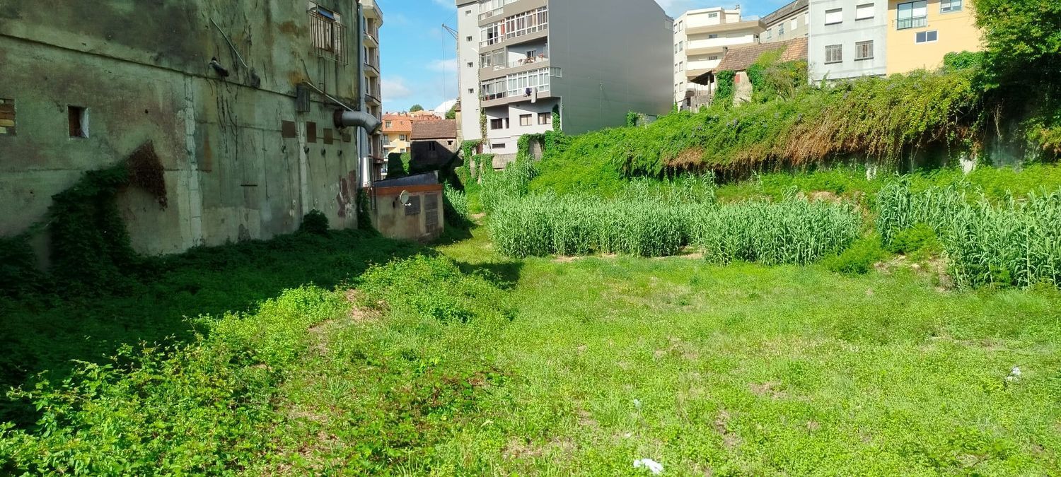 Fincas y solares-Venta-Redondela-1396230-Foto-3