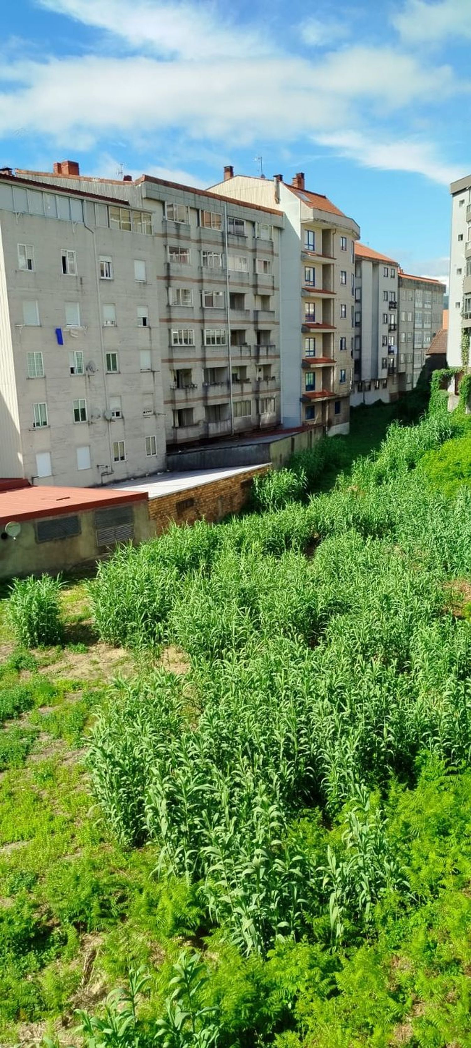 Fincas y solares-Venta-Redondela-1396230-Foto-5