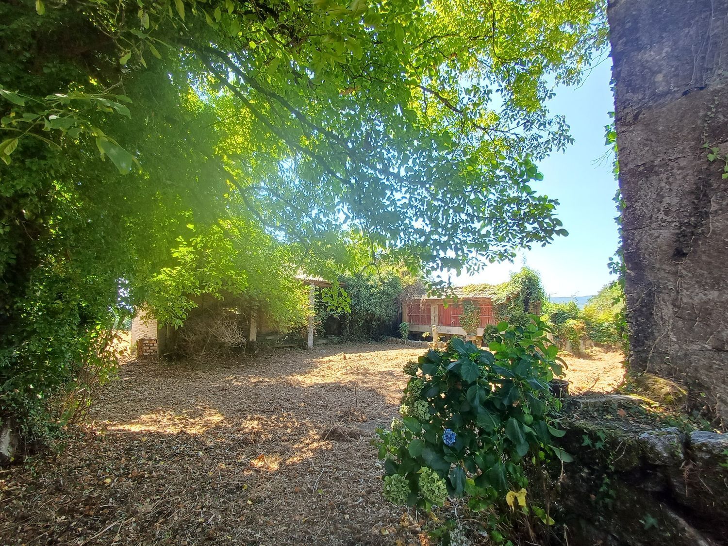 Fincas y solares-Venta-A CaÃ±iza-1834413-Foto-3