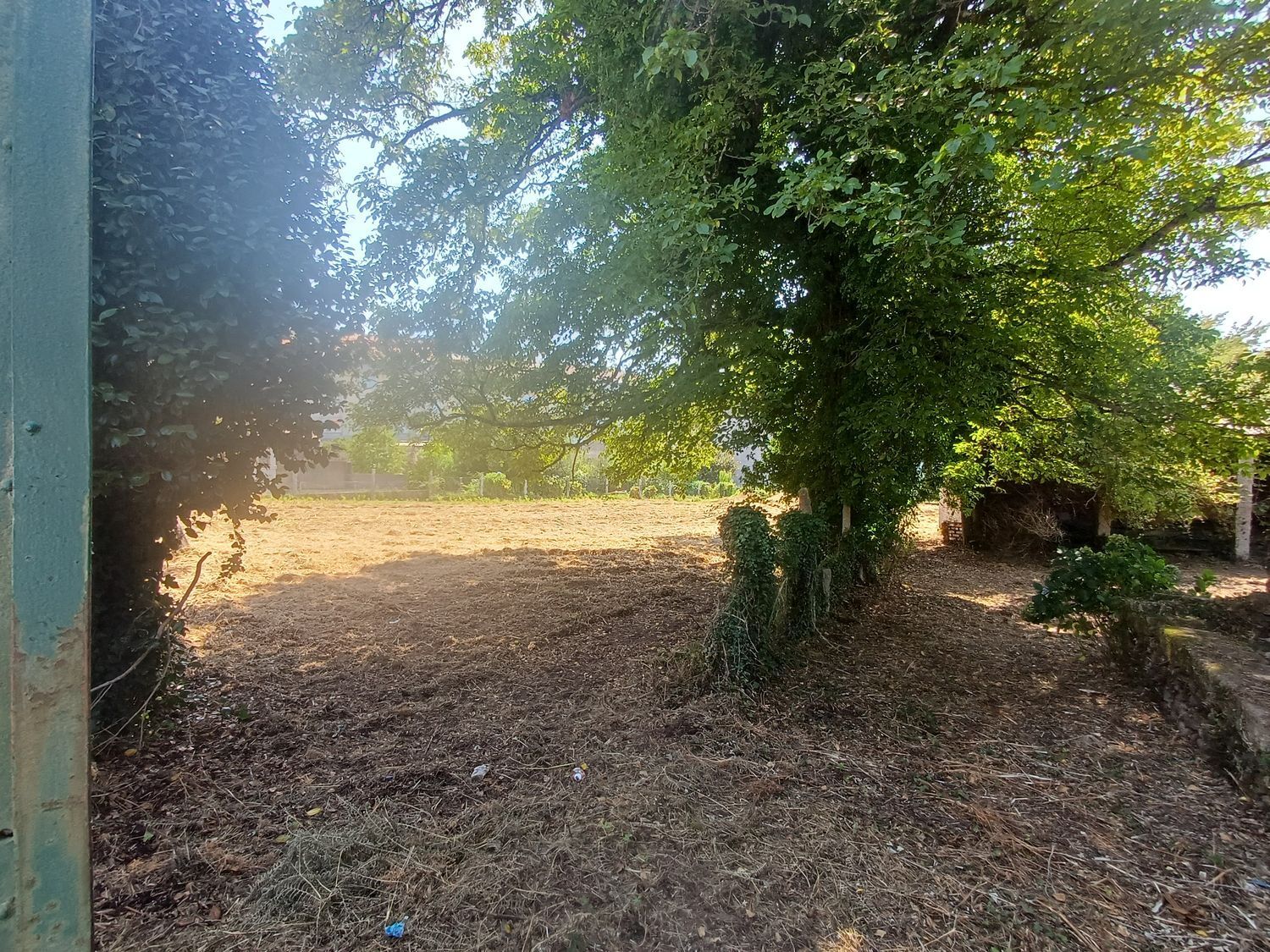 Fincas y solares-Venta-A CaÃ±iza-1834413-Foto-12