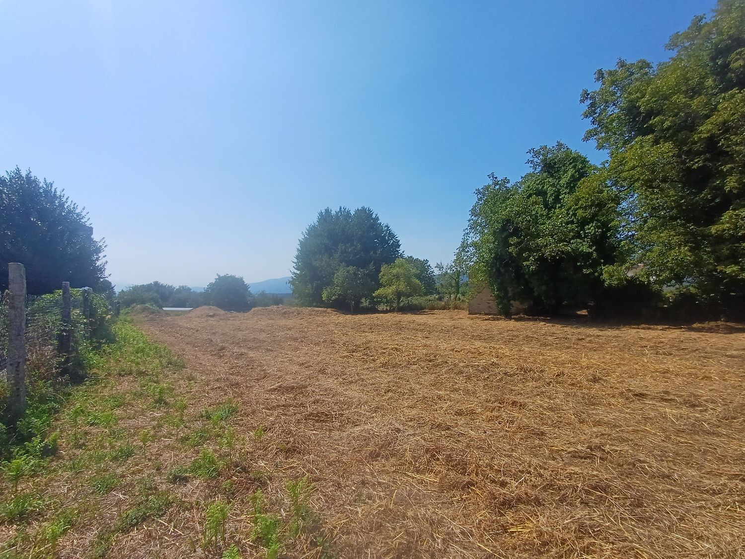 Fincas y solares-Venta-A CaÃ±iza-1834413-Foto-15