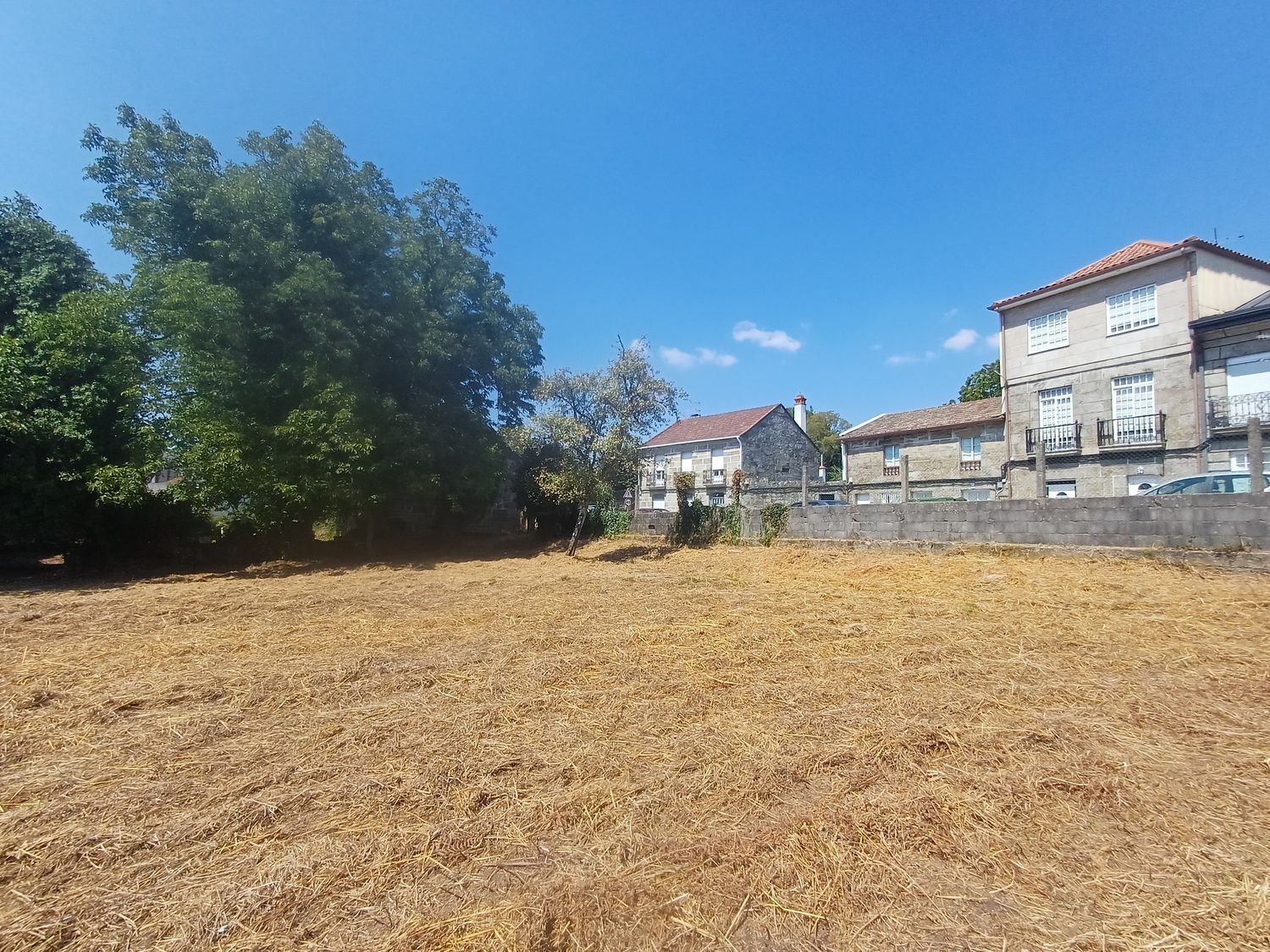 Fincas y solares-Venta-A CaÃ±iza-1834413-Foto-14