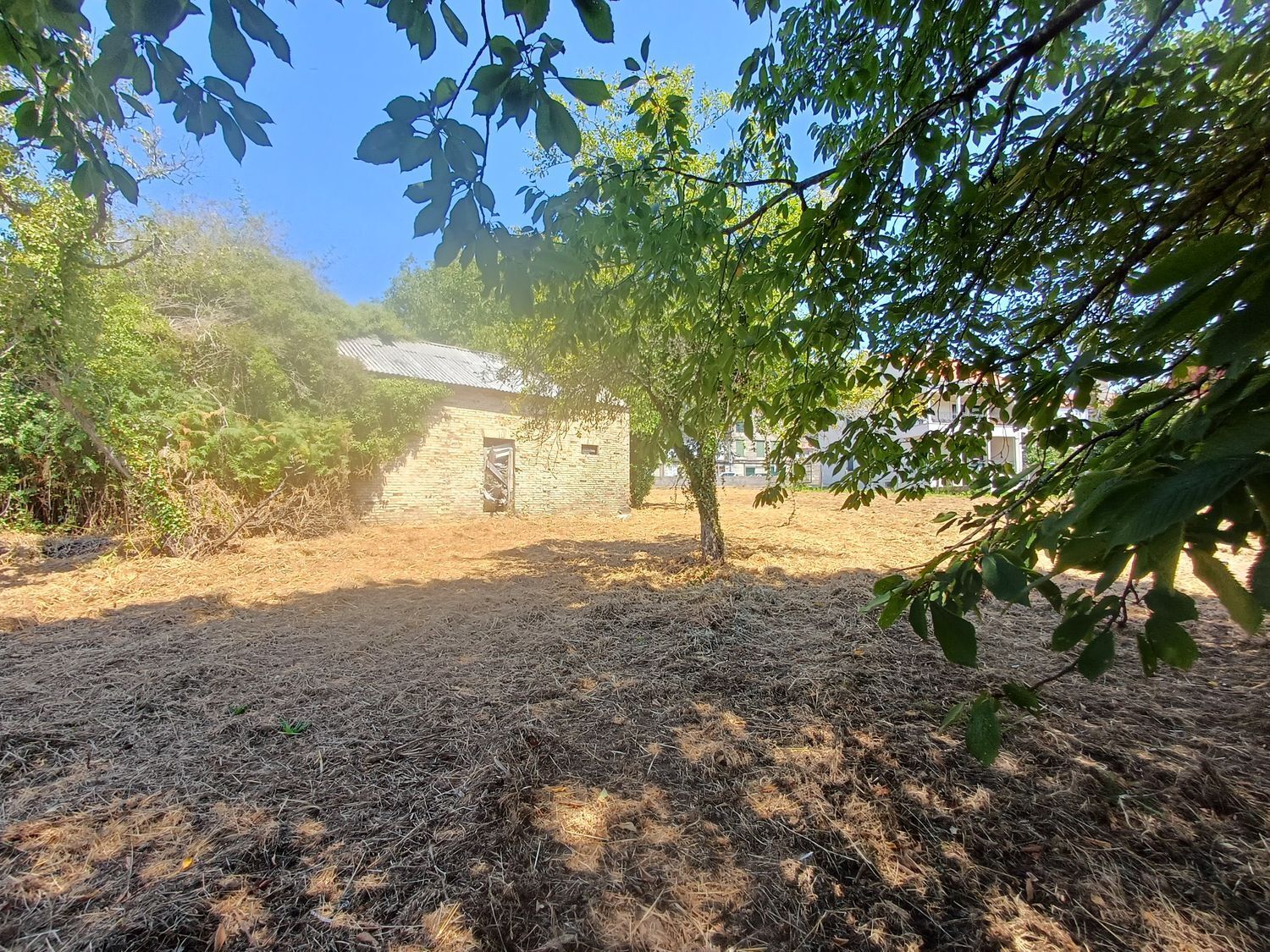Fincas y solares-Venta-A CaÃ±iza-1834413-Foto-18