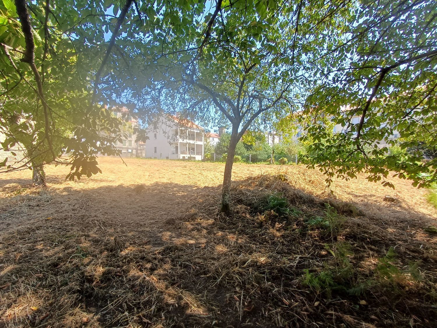 Fincas y solares-Venta-A CaÃ±iza-1834413-Foto-19